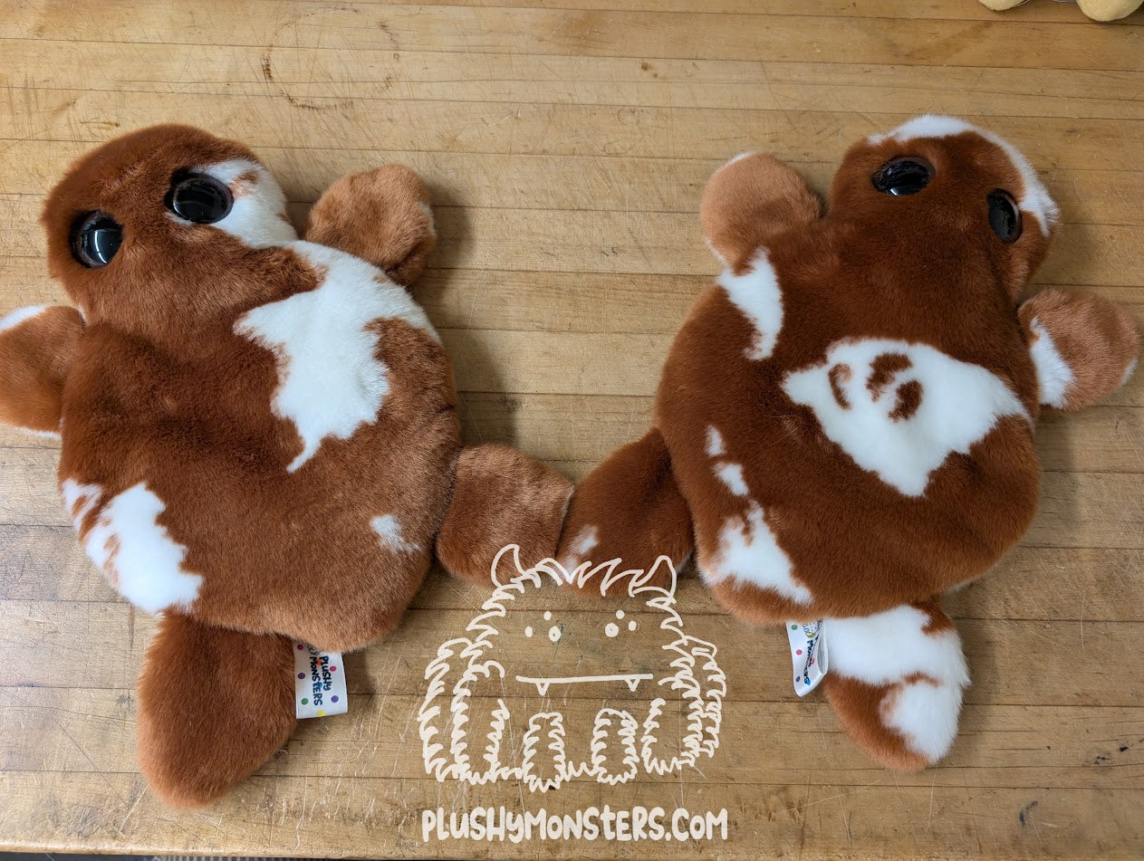 Cow Walrus, Probably! - Splat