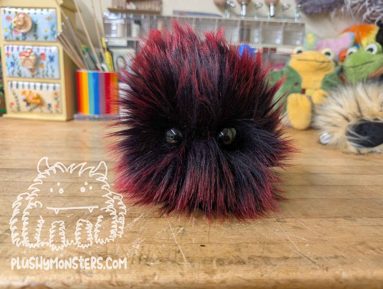 Drac Scrappy!