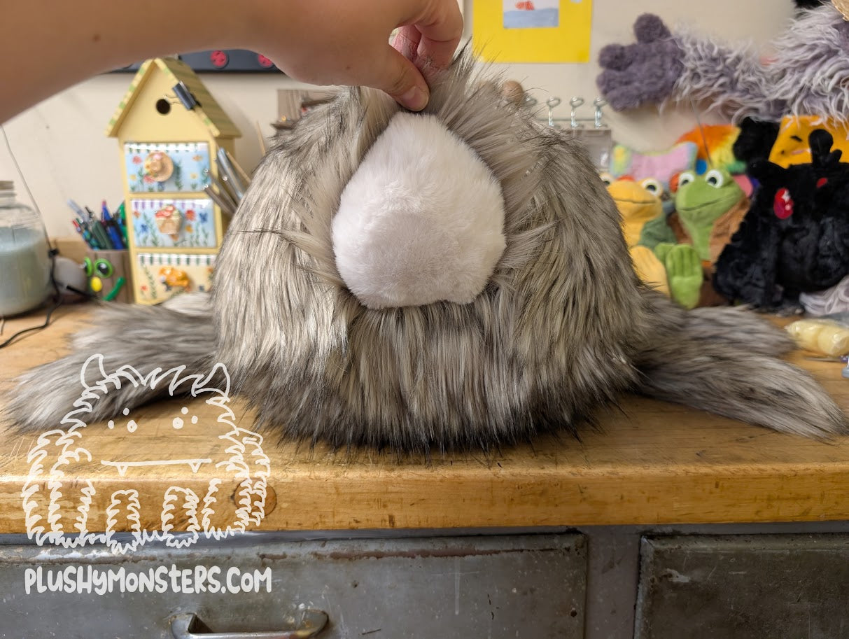 Peter Rabbit, Spider in Disguise - Weighted Middlin'