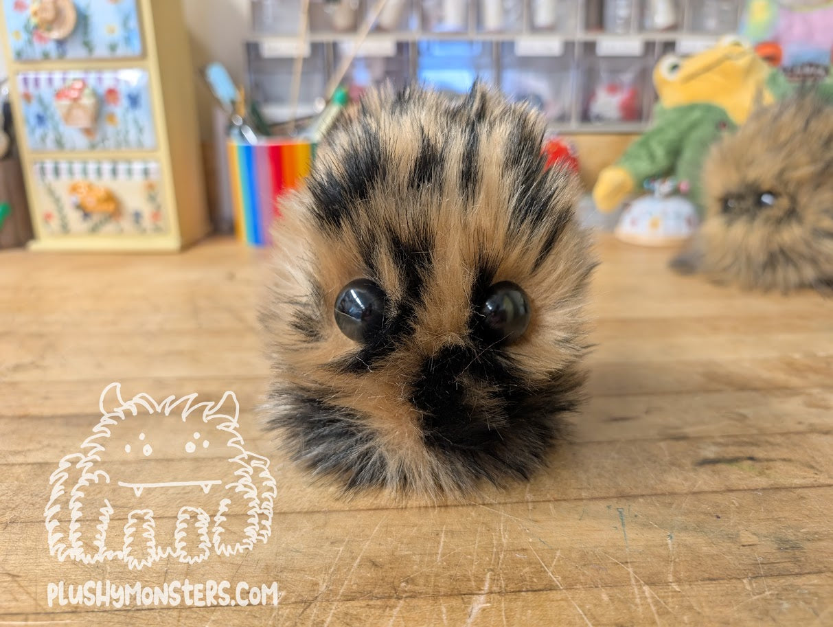 Leopold Scrappy!
