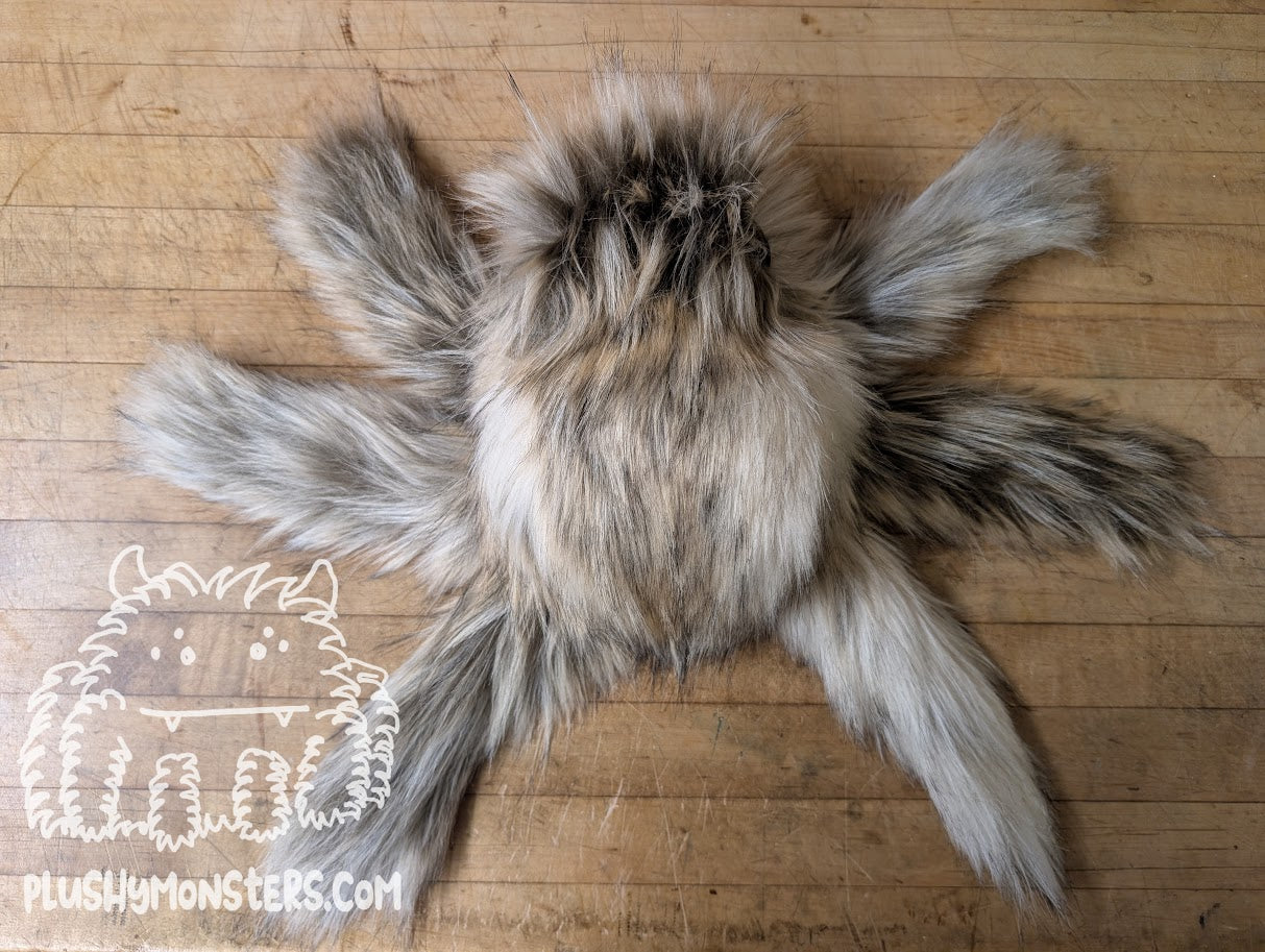 Floyd Gobi with Giant Eyes! - Big Hobo Tick