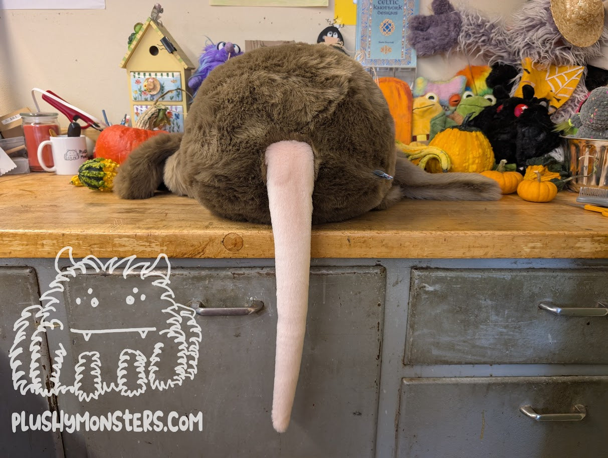 Snickerdoodle! - Mouse Spider in Disguise - Weighted Middlin'
