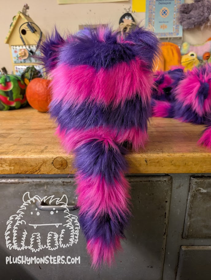Big Chessy Kitty Scrappy with Striped Face! - Big Scrappy in Disguise