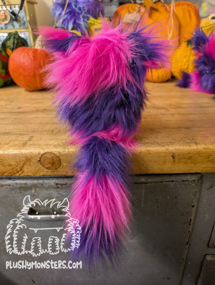 Chessy Kitty Scrappy with Larger Nose! - Scrappy in Disguise