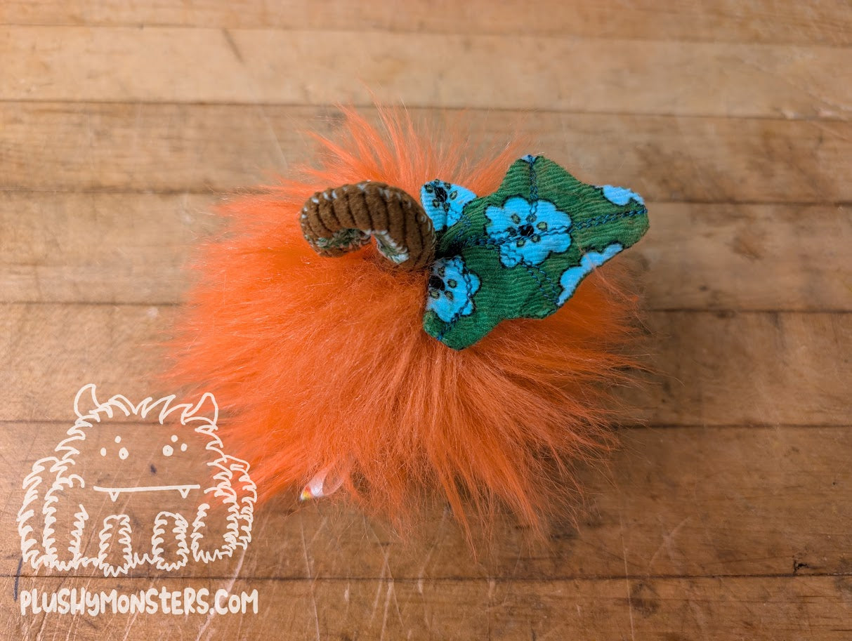 Tiny Pumpkin for Joe!
