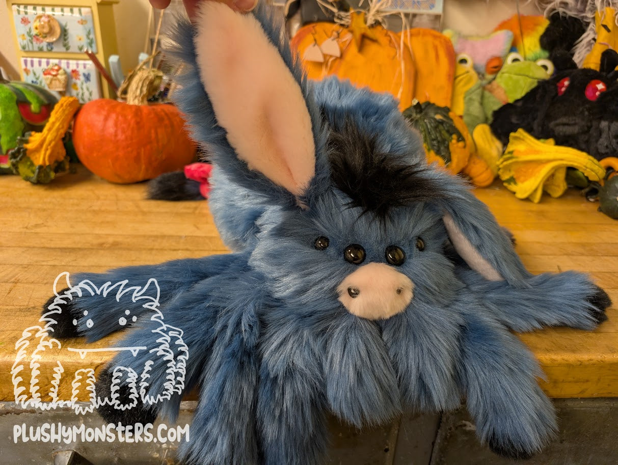 Dawn's Adorable Eeyore Spider! 🥰 - Donkey Spider in Disguise - Weighted Lil' Guy