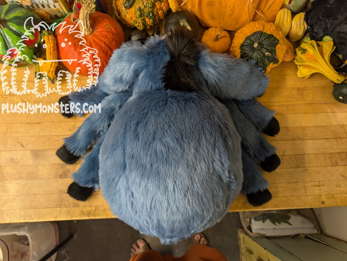 Cadonkydonk! - Donkey Spider in Disguise - Weighted Middlin'