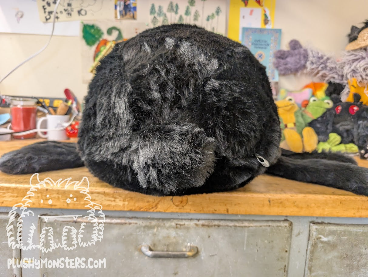 Big Able! Black Bear Spider in Disguise - Weighted Big'n