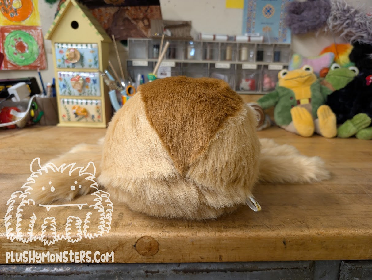 Lil' Shortbread! - Weighted Lil' Guy