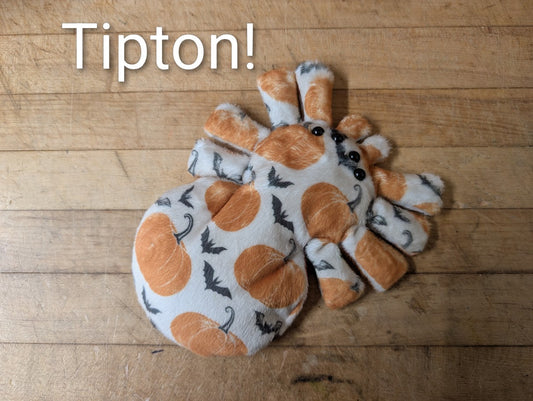 Spookly Spiderlings!