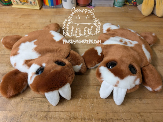 Cow Walrus, Probably! - Splat