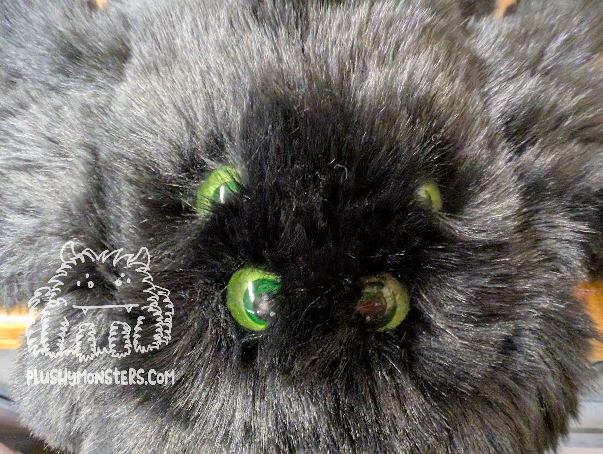 Bruno with Green on Green Eyes! - Weighted Pancake Spider