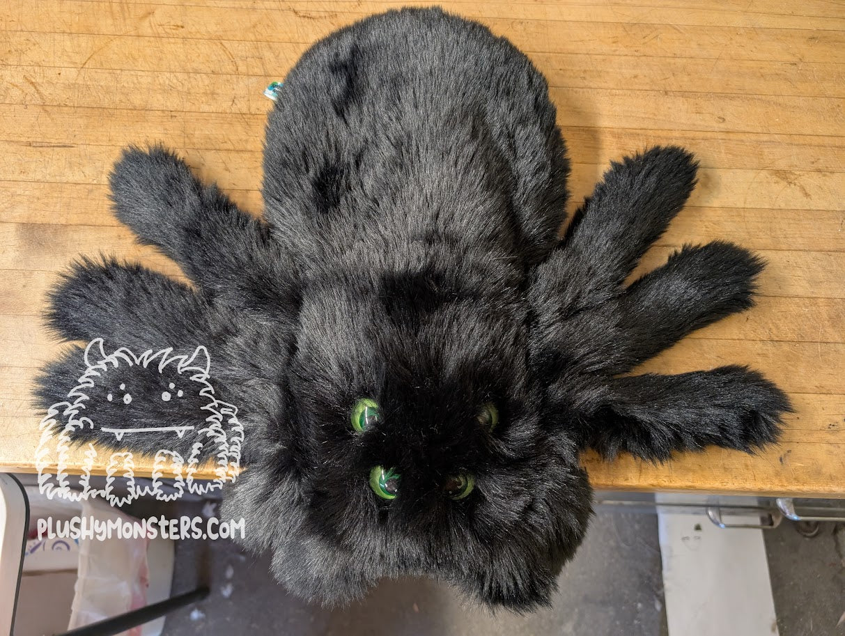 Bruno with Green on Green Eyes! - Weighted Pancake Spider