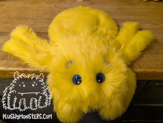 Golden Yellow with Pacific Blue Eyes! - Weighted Pancake Spider