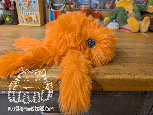 Gobi with Giant Green Eyes! - Big Hobo Tick