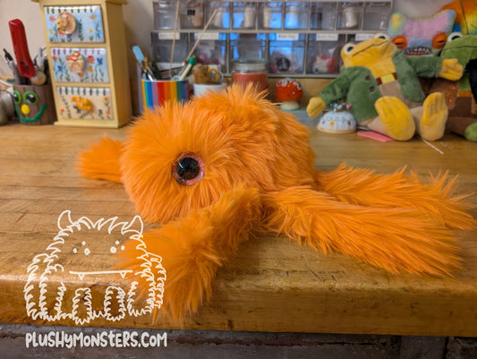 Gobi with Giant Pink Eyes! - Big Hobo Tick