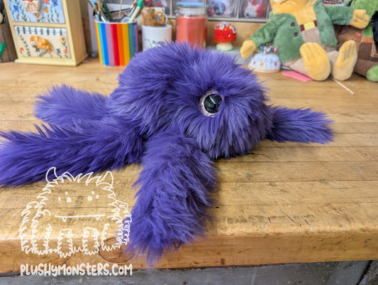 Thistle Gobi with Giant Pink Eyes! - Big Hobo Tick