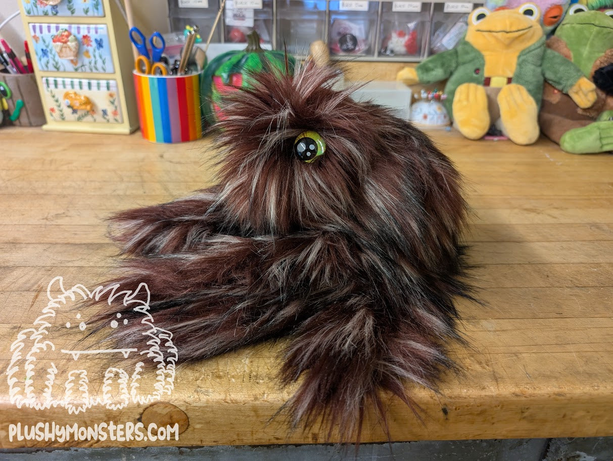Bramble Gobi with Bright Green Eyes! - Big Hobo Tick