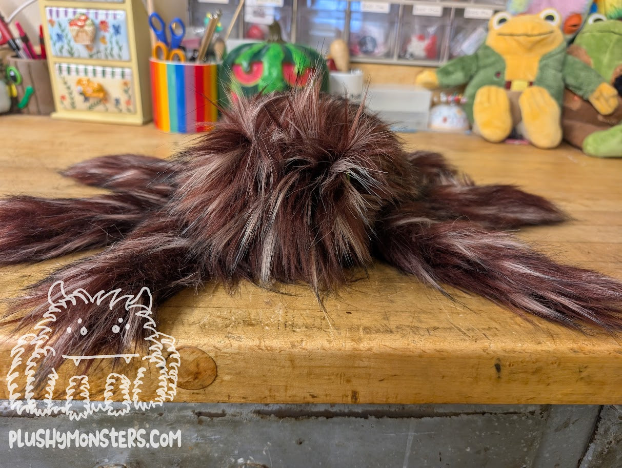 Bramble Gobi with Bright Green Eyes! - Big Hobo Tick