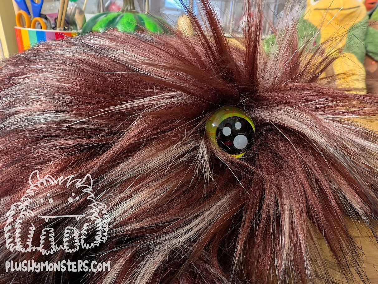 Bramble Gobi with Bright Green Eyes! - Big Hobo Tick