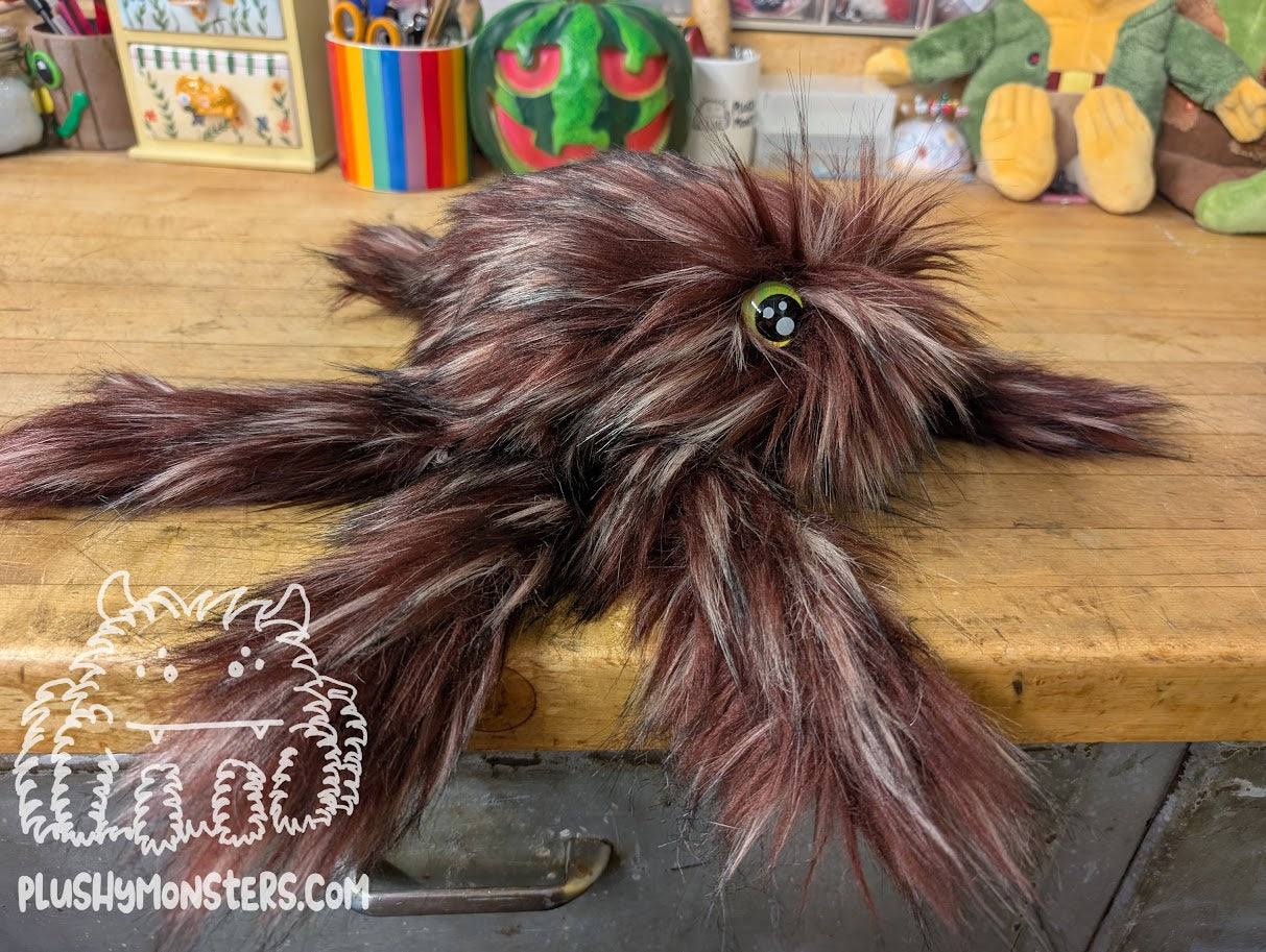 Bramble Gobi with Bright Green Eyes! - Big Hobo Tick