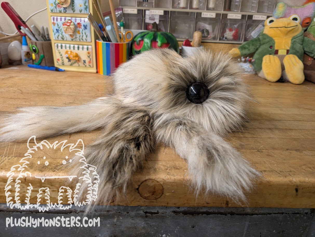 Floyd Gobi with Giant Eyes! - Big Hobo Tick