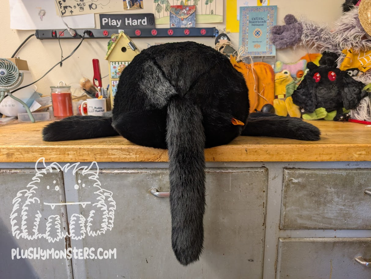 Salem! Kitty Spider in Disguise - Weighted Middlin'