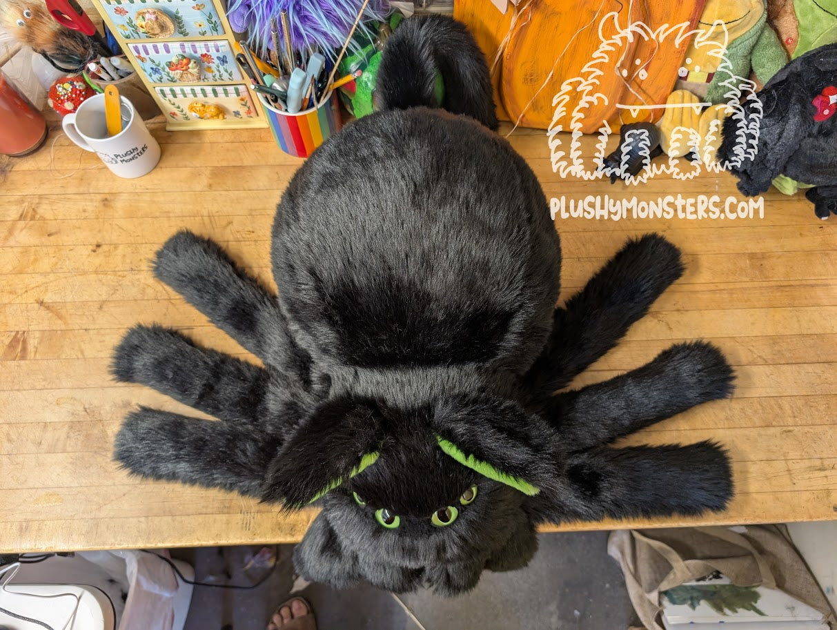 Salem! Kitty Spider in Disguise - Weighted Middlin'