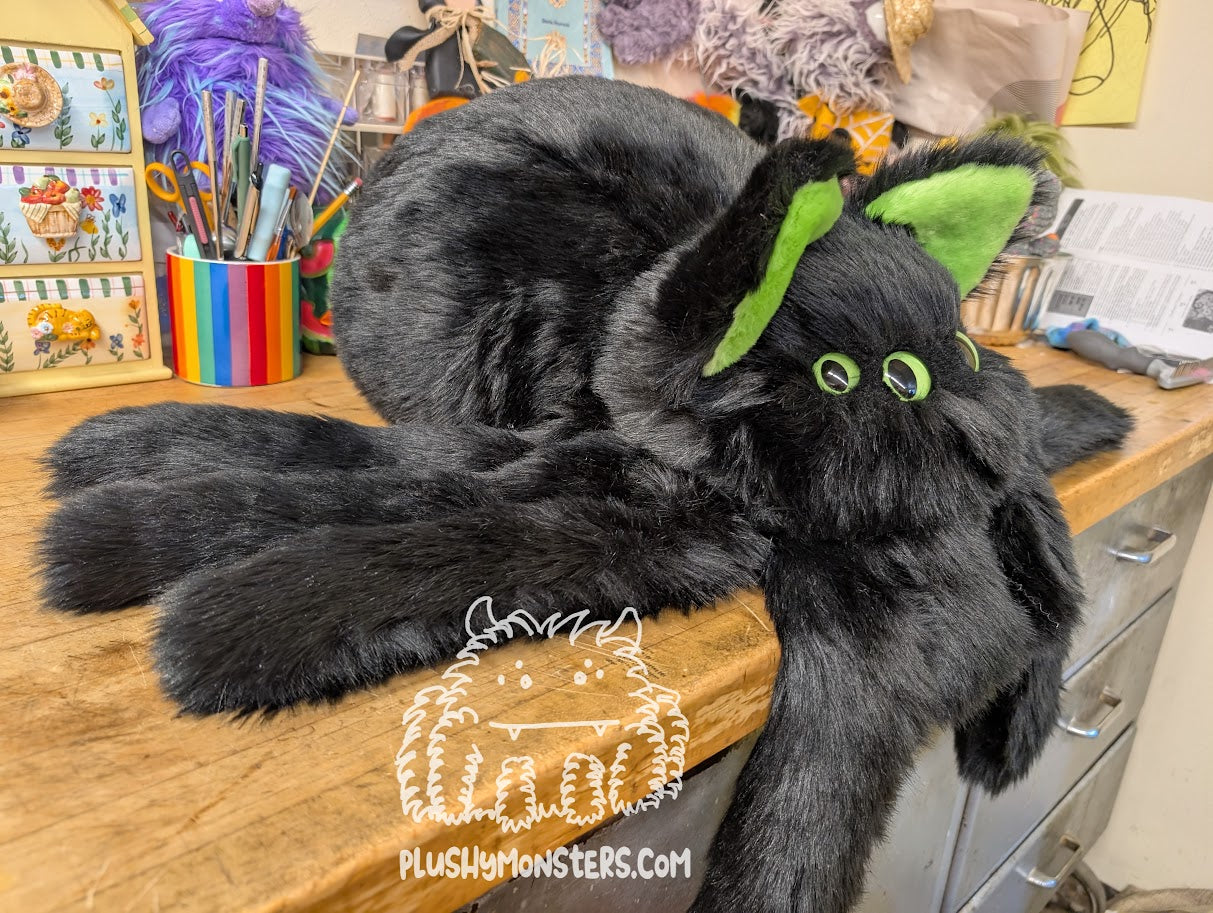 Salem! Kitty Spider in Disguise - Weighted Middlin'