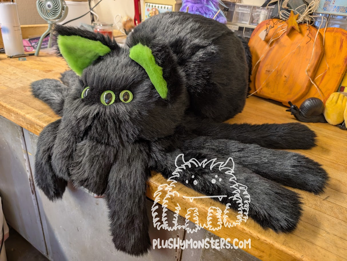 Salem! Kitty Spider in Disguise - Weighted Middlin'