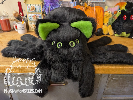 Salem! Kitty Spider in Disguise - Weighted Middlin'