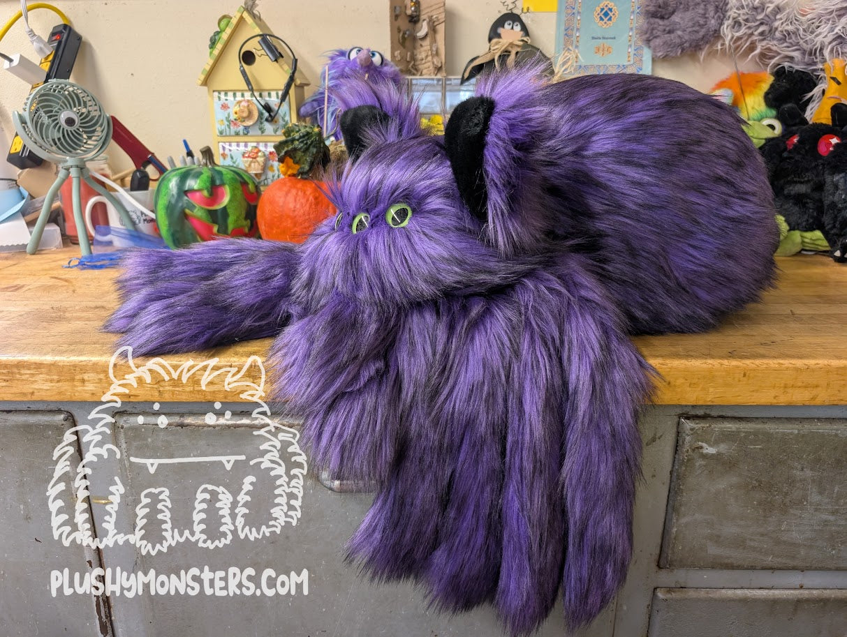 Kitty! Spider in Disguise- Weighted Middlin'