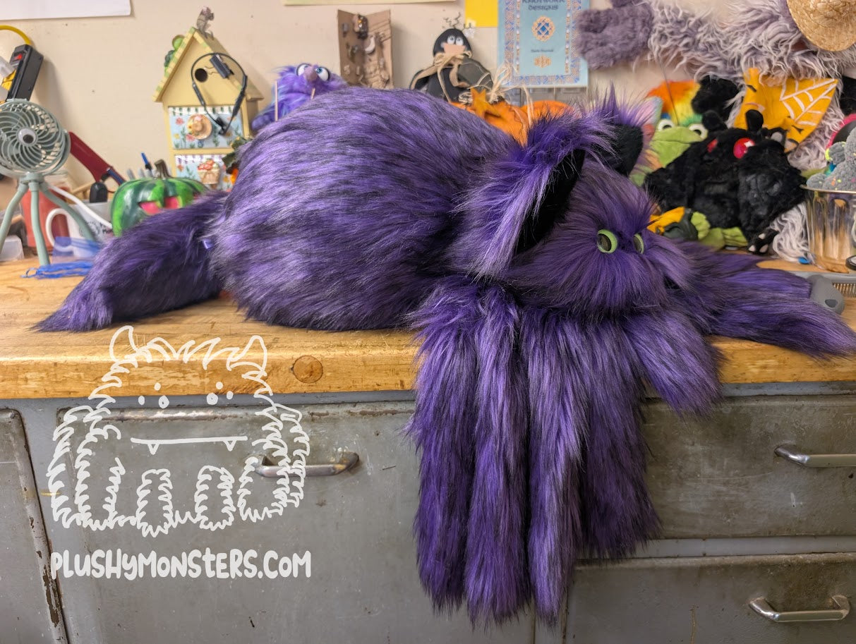 Kitty! Spider in Disguise- Weighted Middlin'