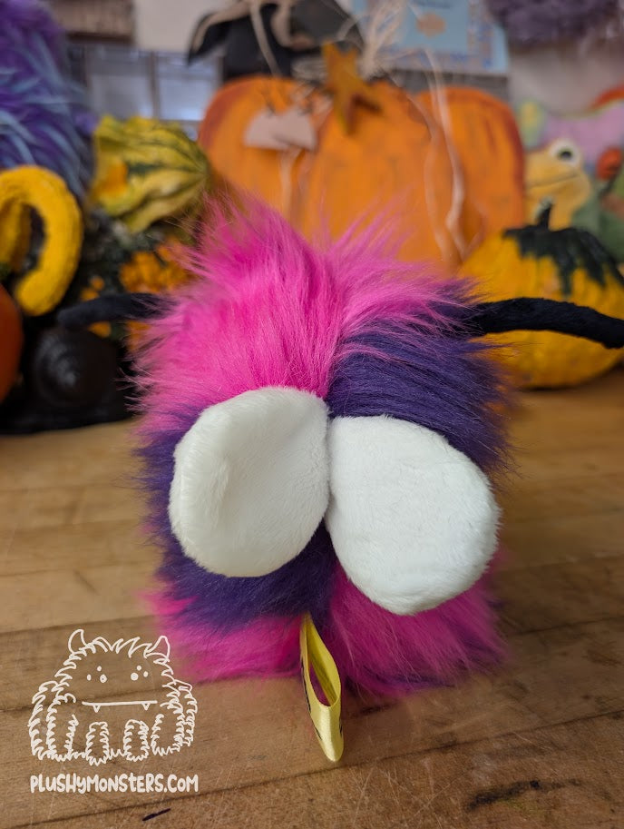 Scrappy Beeatrice! With Gold Eyes! - Scrappy in Disguise