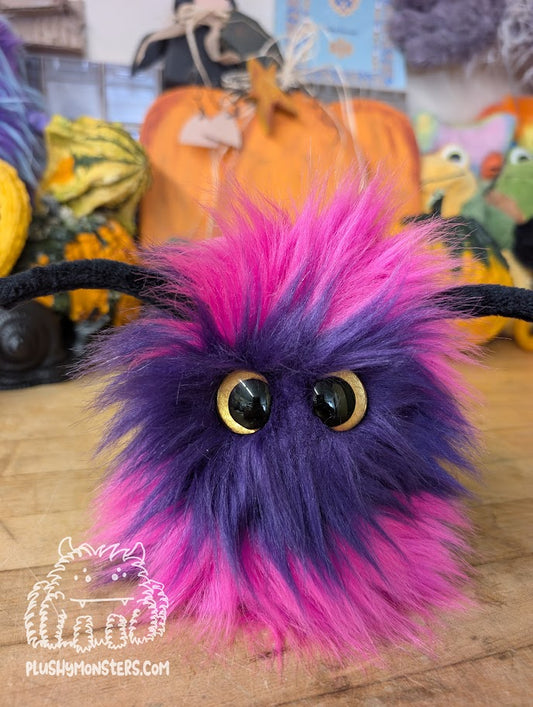 Scrappy Beeatrice! With Gold Eyes! - Scrappy in Disguise