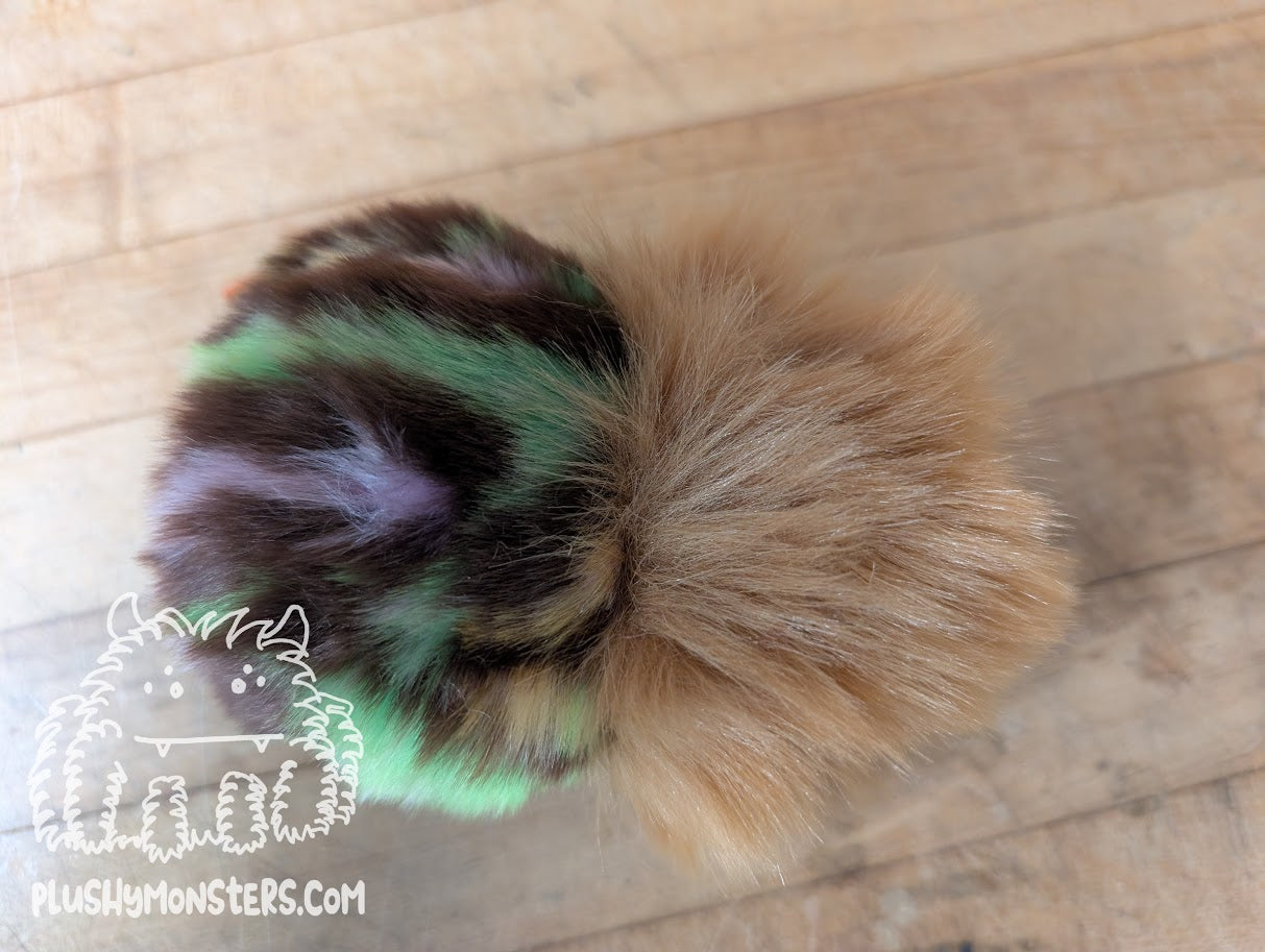 Interesting Brown Pill Bug! - Weighted Pill Bug