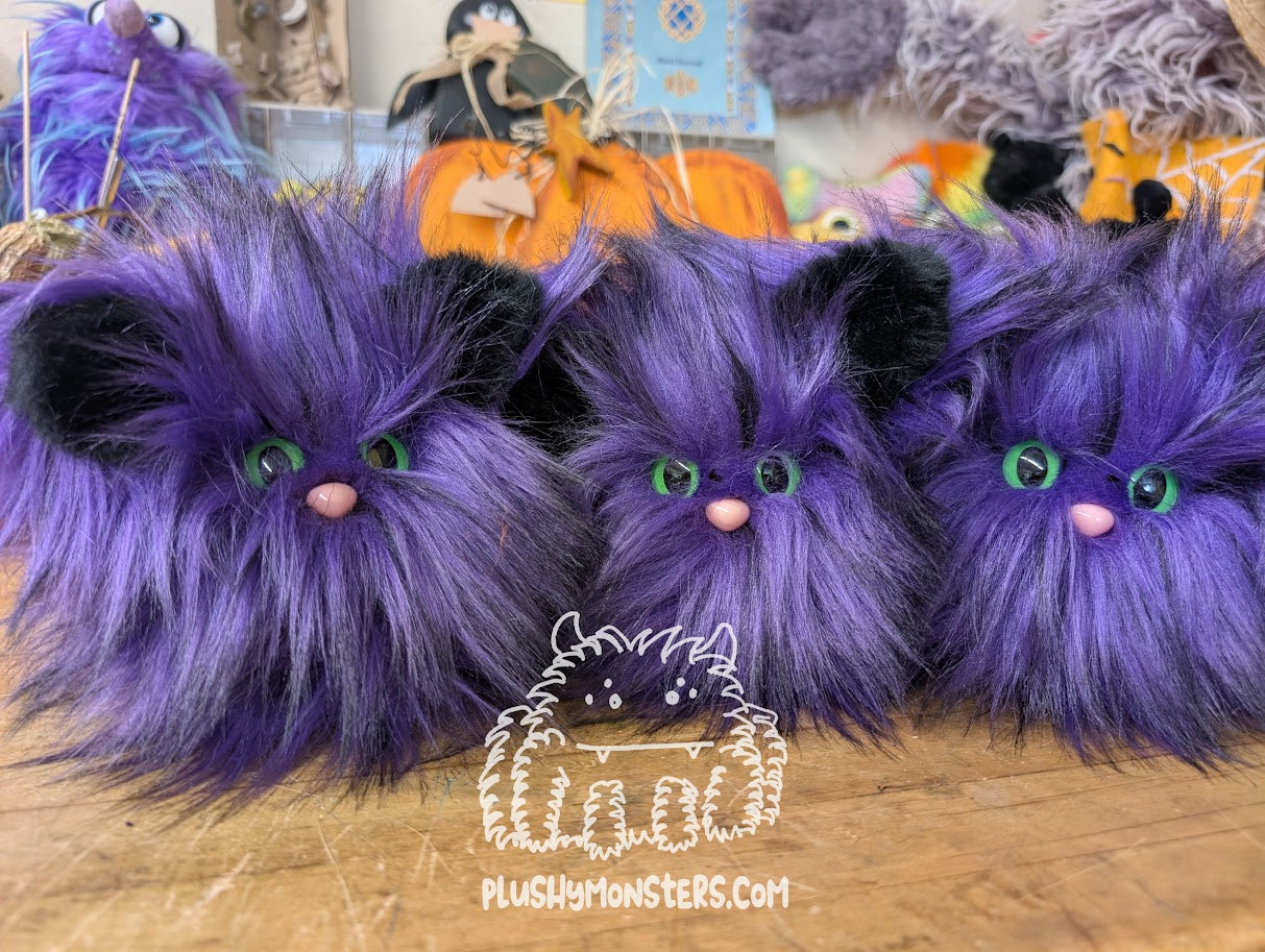 Kitty Scrappy! - Scrappy in Disguise