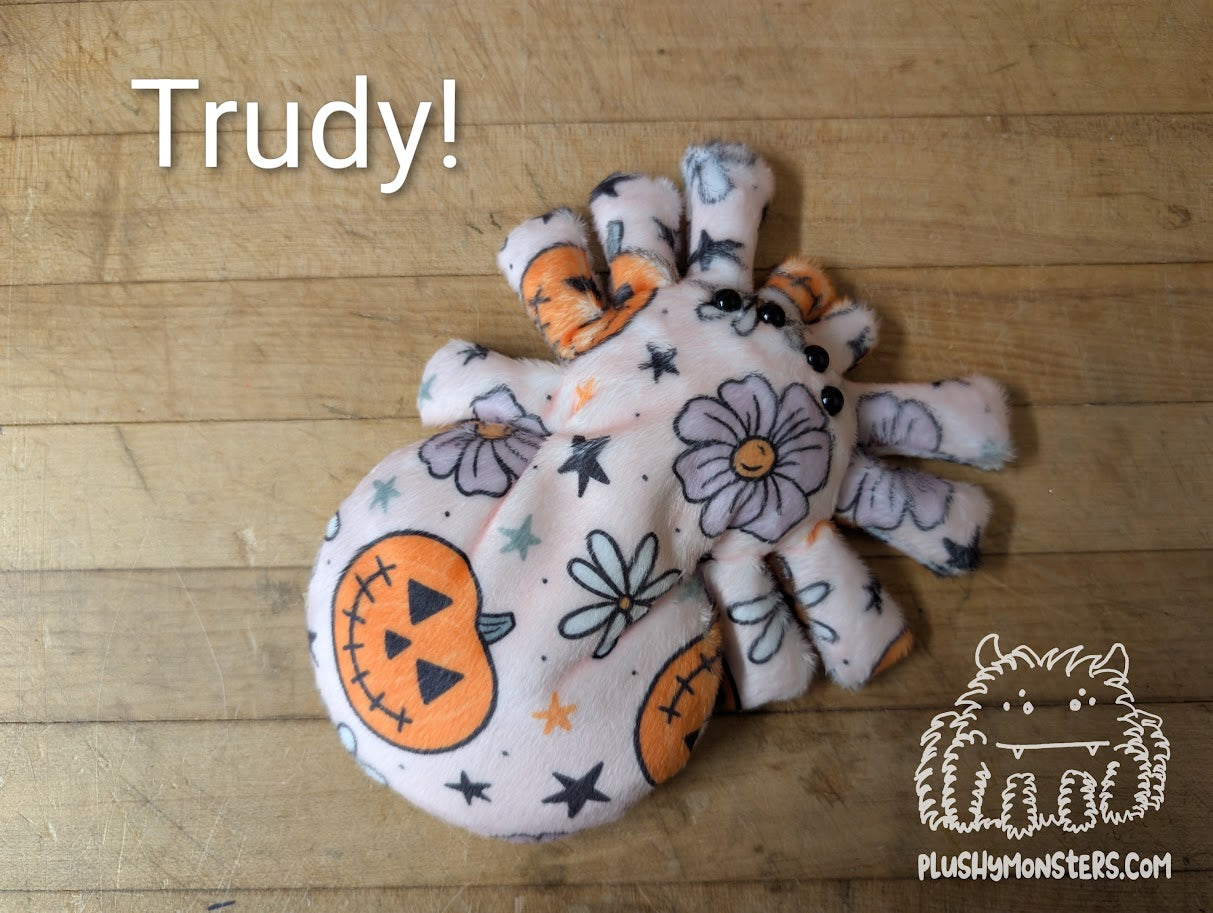 Pumpkin and Jack-O'-Lantern Spiderlings!