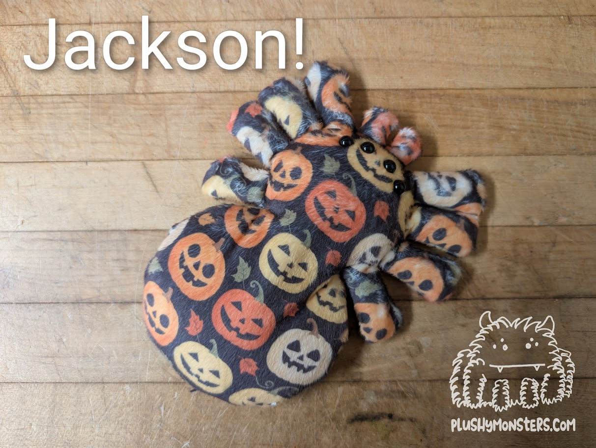 Pumpkin and Jack-O'-Lantern Spiderlings!