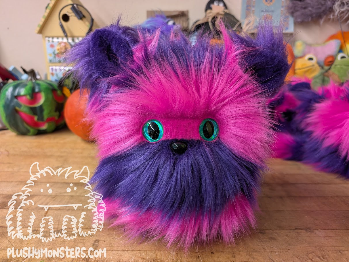 Big Chessy Kitty Scrappy with Striped Face! - Big Scrappy in Disguise
