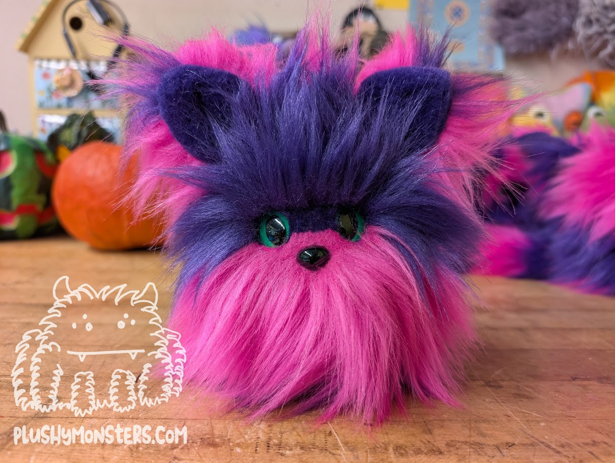 Chessy Kitty Scrappy with Striped Face! - Scrappy in Disguise