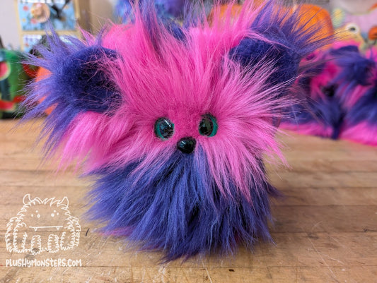 Chessy Kitty Scrappy with Pink Face! - Scrappy in Disguise