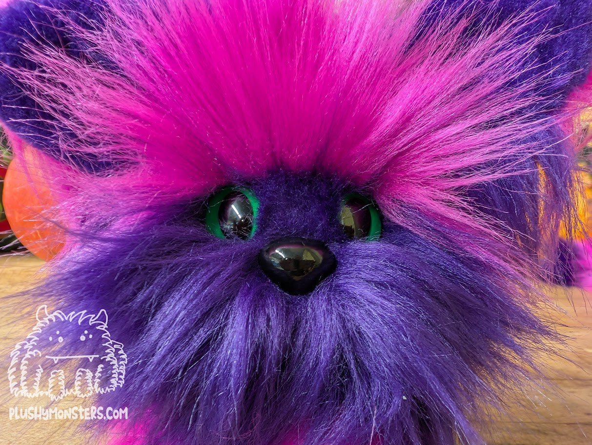 Chessy Kitty Scrappy with Larger Nose! - Scrappy in Disguise