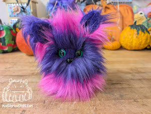 Chessy Kitty Scrappy with Purple Face! - Scrappy in Disguise