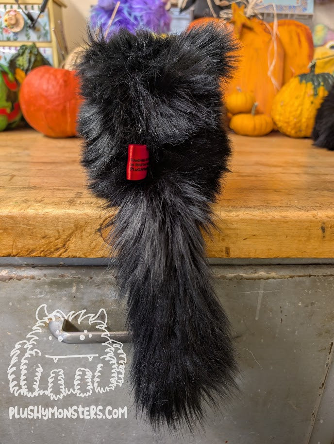 Black Kitty Scrappy! - Scrappy in Disguise