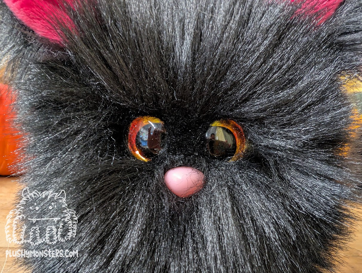 Black Kitty Scrappy! - Scrappy in Disguise