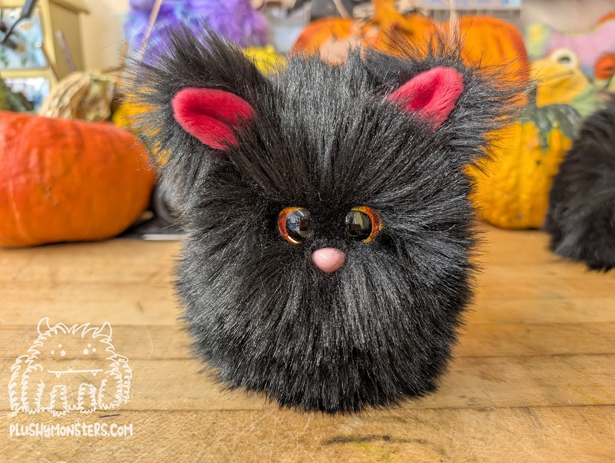 Black Kitty Scrappy! - Scrappy in Disguise