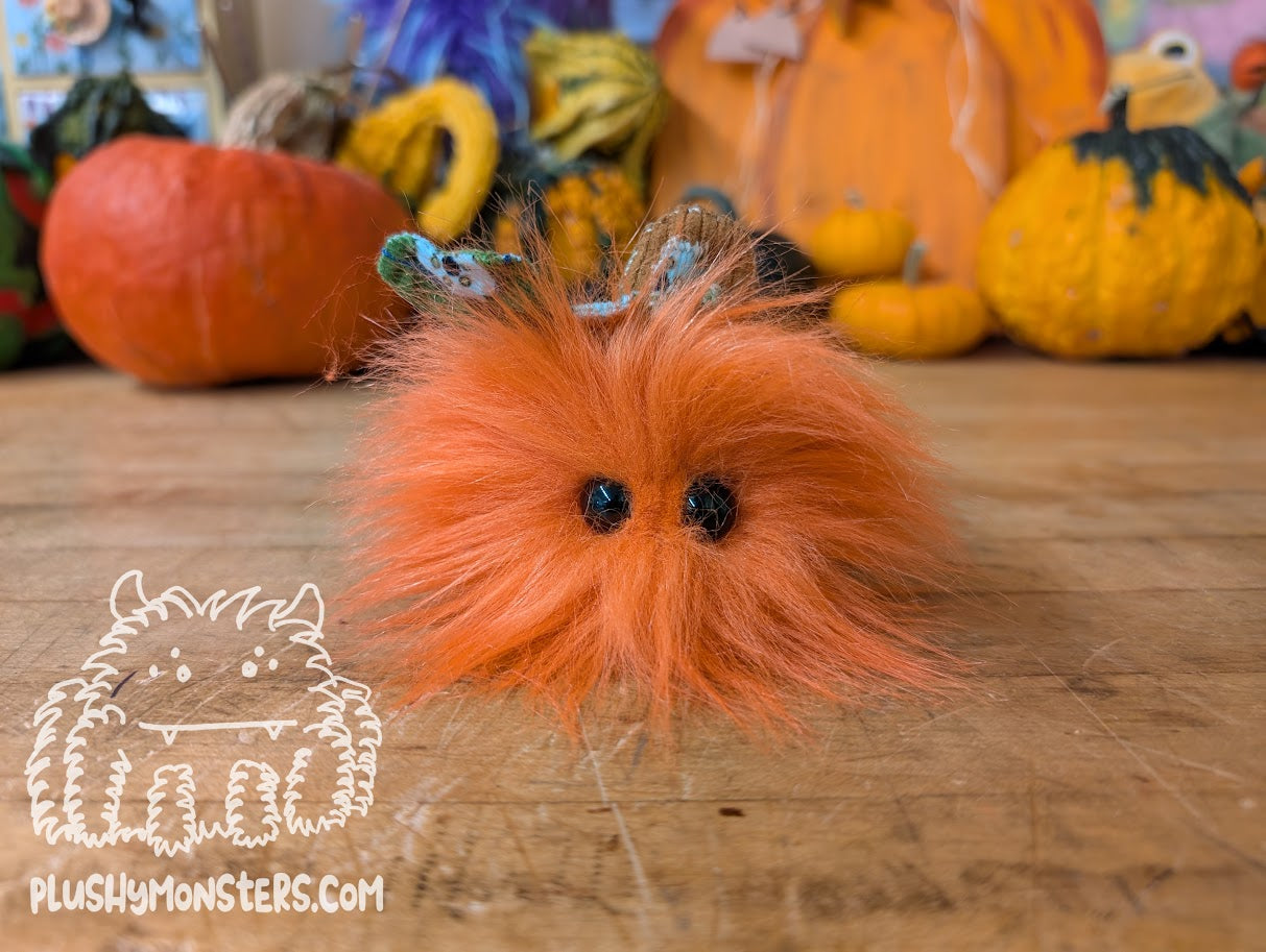 Tiny Pumpkin for Joe!