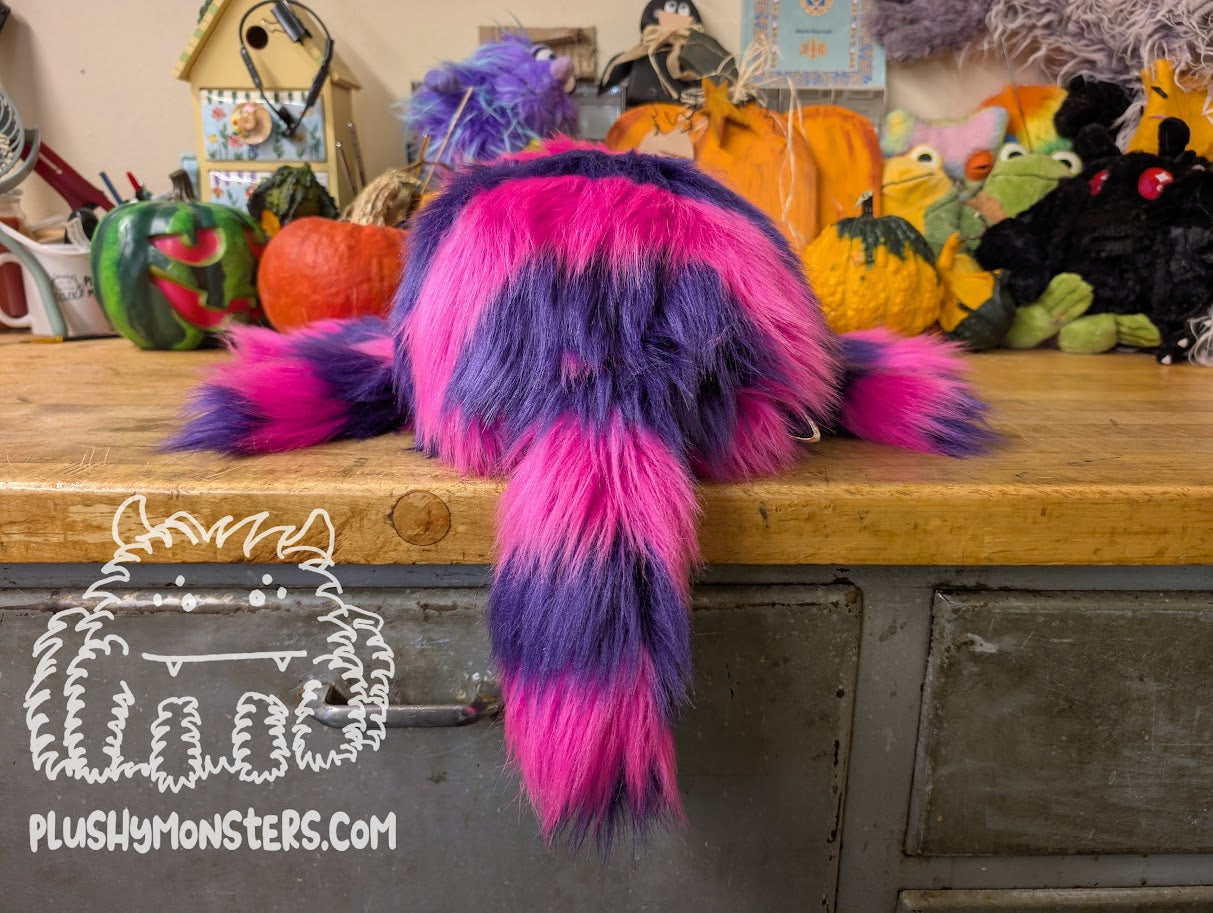 Kim's Lil' Chessy! - Cheshire Cat Spider in Disguise! - Weighted Lil' Guy