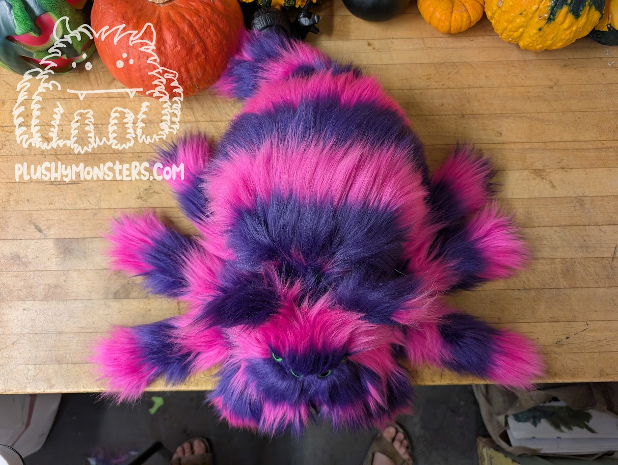 Kim's Lil' Chessy! - Cheshire Cat Spider in Disguise! - Weighted Lil' Guy
